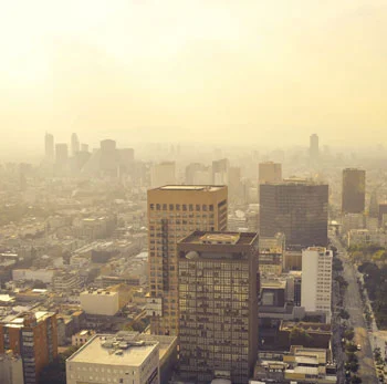 main causes of all scalp concerns: environmental