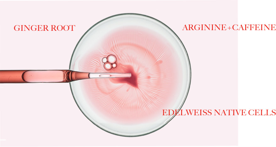 Kerastase Genesis Hair Care