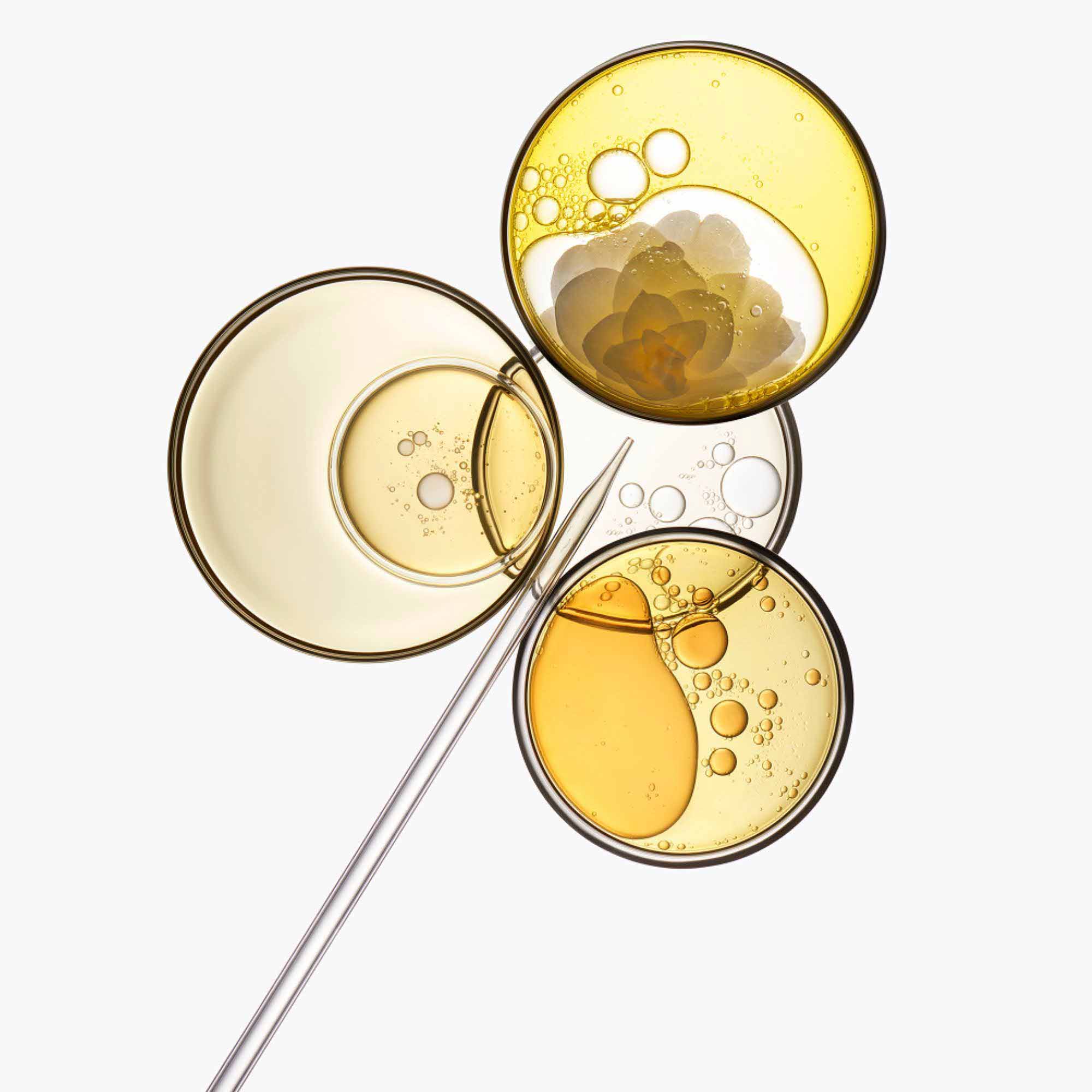 Blond Absolu Science Visual